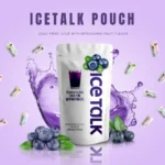 Ice Talk Blueberry 230ml – Bebida Coreana de Arándano